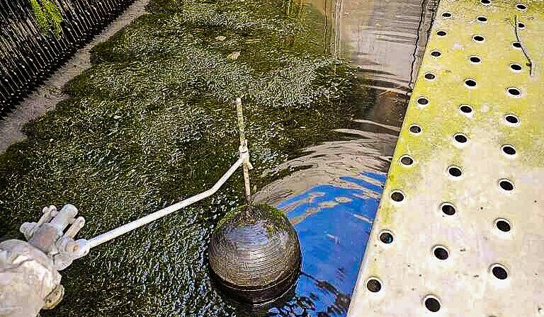 Prevent Legionella in your Cooling Towers
